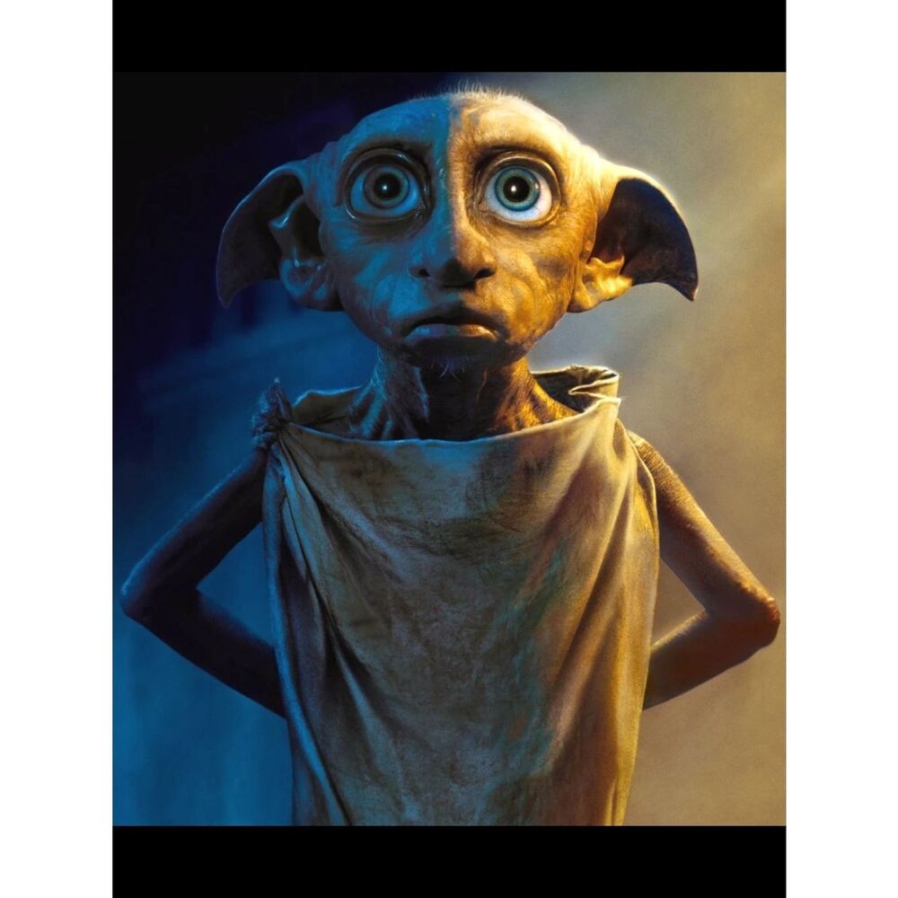 Dobby Custom Fridge Magnet Harry Potter Home Kitchen Decor